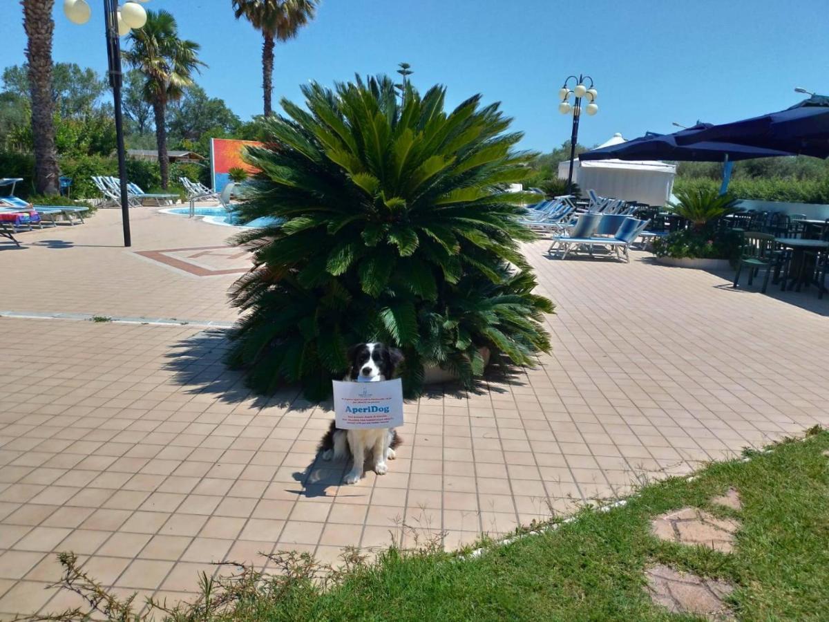 Hotel Marina Roseto Degli Abruzzi Exterior foto