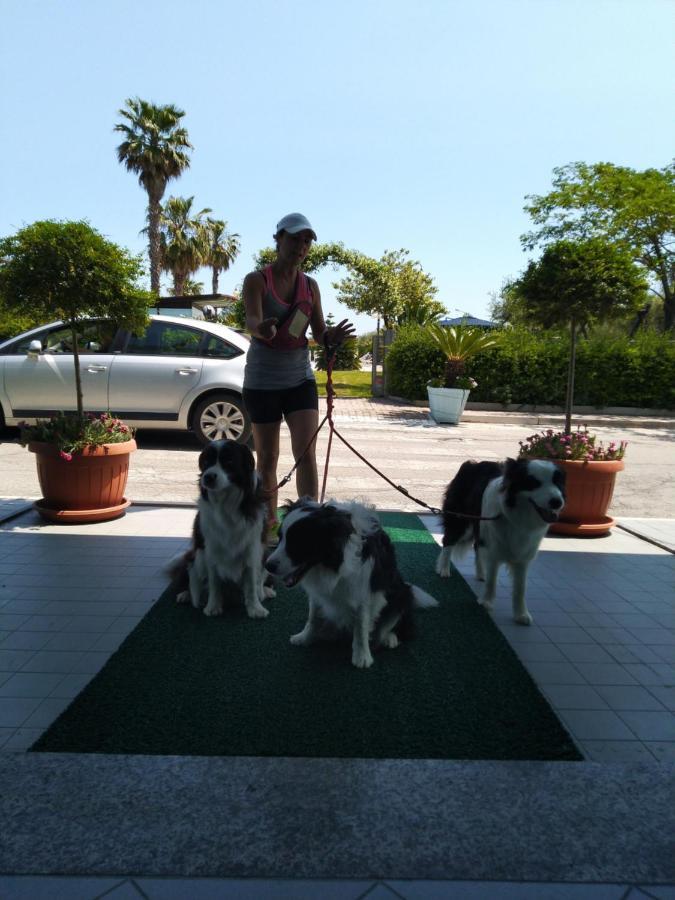 Hotel Marina Roseto Degli Abruzzi Exterior foto